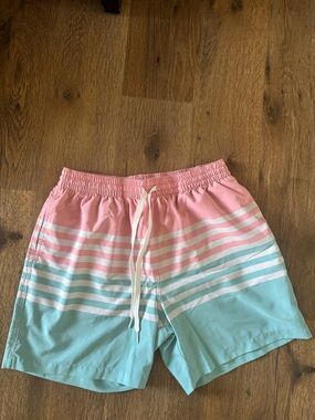 chubbies Pink and Light Blue Striped Men’s Swim Trunks